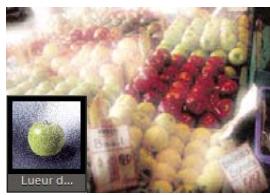 ADOBE PHOTOSHOP ELEMENTS 9 - Filtres - 2