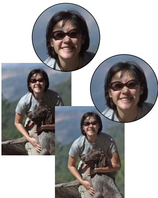 ADOBE PHOTOSHOP ELEMENTS 9 - Amélioration des détails des tons foncés et des tons clairs - 1