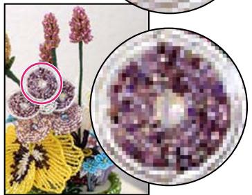 ADOBE PHOTOSHOP ELEMENTS 9 - Rééchantillonnage d'une image - 2