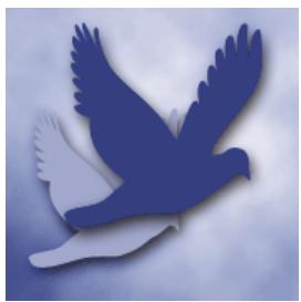 ADOBE PHOTOSHOP ELEMENTS 9 - Voir aussi - 1