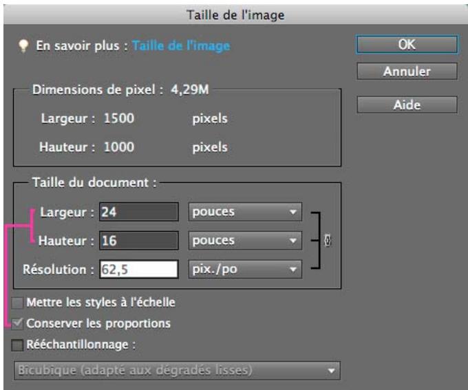ADOBE PHOTOSHOP ELEMENTS 9 - Redimensionnement - 2