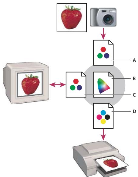 ADOBE PHOTOSHOP ELEMENTS 9 - Configuration de la gestion des couleurs - 3