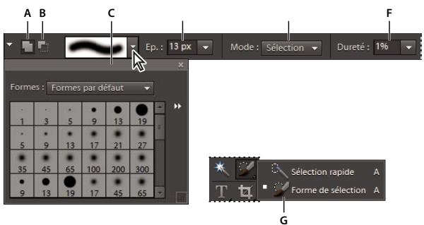 ADOBE PHOTOSHOP ELEMENTS 9 - Utilisation de l'outil forme de sélection - 1