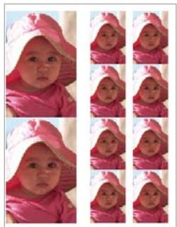 ADOBE PHOTOSHOP ELEMENTS 9 - Impression d'une collection d'images - 1