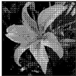 ADOBE PHOTOSHOP ELEMENTS 9 - Conversion d'une image en mode bitmap - 3