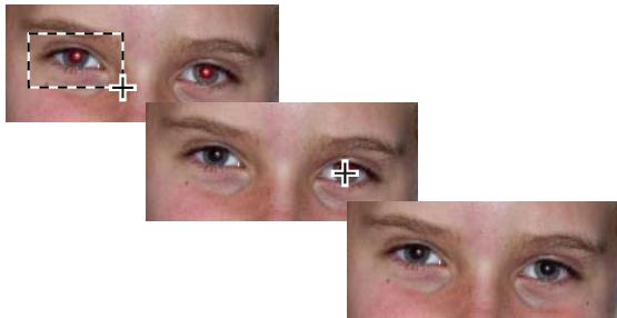 ADOBE PHOTOSHOP ELEMENTS 9 - Suppression précise de l'effet yeux rouges - 1