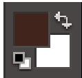 ADOBE PHOTOSHOP ELEMENTS 9 - Choix d'une couleur à l'aide de l'outil pipette - 2