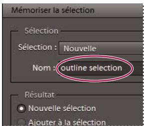 ADOBE PHOTOSHOP ELEMENTS 9 - Mémorisation, récapitulation ou suppression d'une sélection - 2