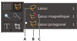 ADOBE PHOTOSHOP ELEMENTS 9 - Utilisation de l'outil lasso polygonal - 1