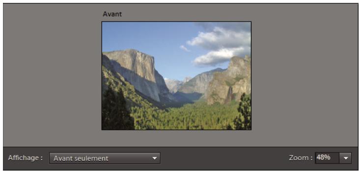 ADOBE PHOTOSHOP ELEMENTS 9 - Concordance de style photomerge - 3