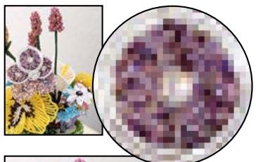 ADOBE PHOTOSHOP ELEMENTS 9 - Rééchantillonnage d'une image - 1