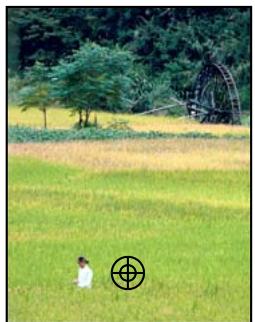 ADOBE PHOTOSHOP ELEMENTS 9 - Correction des imperfections importantes - 1