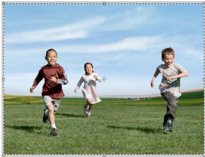 ADOBE PHOTOSHOP ELEMENTS 9 - Recomposition - 1