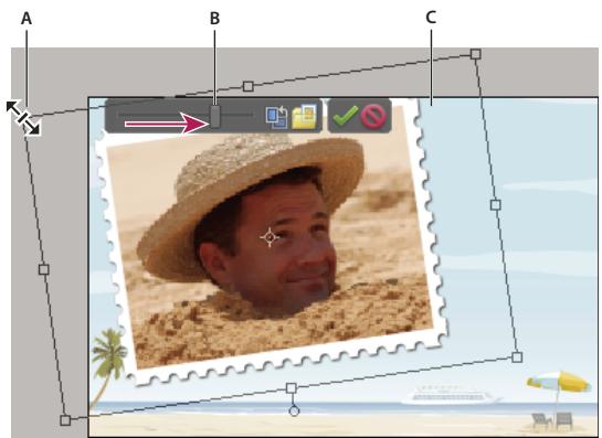 ADOBE PHOTOSHOP ELEMENTS 9 - Repositionnement ou redimensionnement de photos dans un projet photo - 1