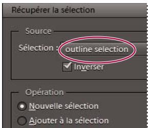 ADOBE PHOTOSHOP ELEMENTS 9 - Mémorisation, récapitulation ou suppression d'une sélection - 4