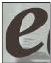 ADOBE PHOTOSHOP ELEMENTS 9 - Options de l'outil texte - 4