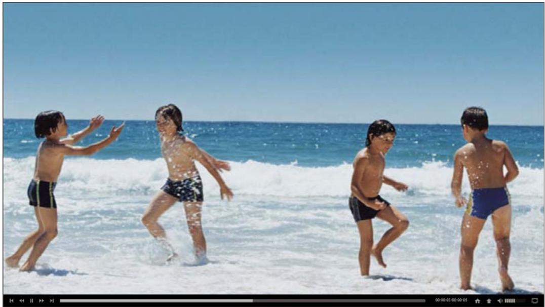 ADOBE PREMIERE ELEMENTS 10 - Création de fichiers DVD Web pour le Bureau - 2