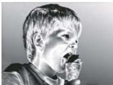 ADOBE PREMIERE ELEMENTS 10 - Galerie d'effets video - 16