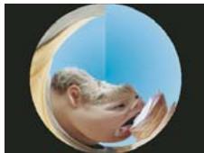 ADOBE PREMIERE ELEMENTS 10 - Galerie d'effets video - 33