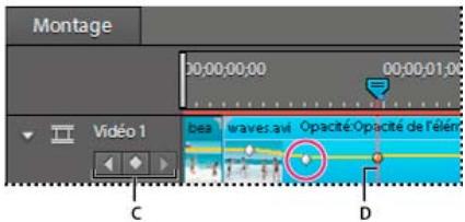 ADOBE PREMIERE ELEMENTS 10 - Selectionner des images clés - 2