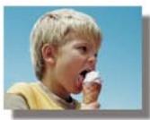 ADOBE PREMIERE ELEMENTS 10 - Galerie d'effets video - 10