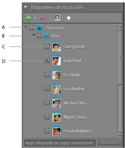 ADOBE PREMIERE ELEMENTS 10 - Balisage de fichiers média à l'aide d'Elements Organizer - 1