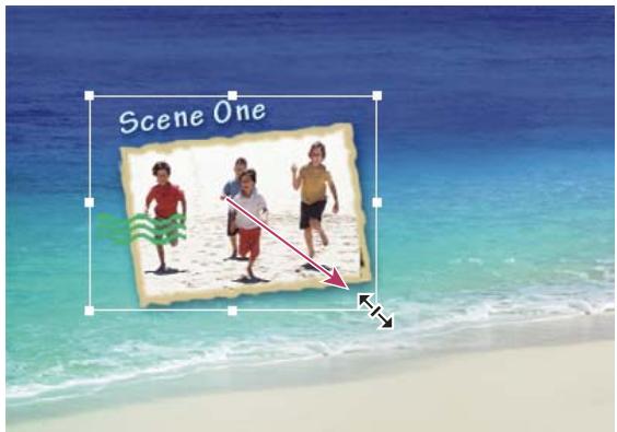 ADOBE PREMIERE ELEMENTS 10 - Modification de la disposition et de la taille des éléments de menu - 1