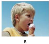 ADOBE PREMIERE ELEMENTS 10 - Réglage alpha - 2