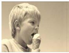 ADOBE PREMIERE ELEMENTS 10 - Galerie d'effets video - 57