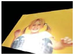 ADOBE PREMIERE ELEMENTS 10 - 3D simple - 2