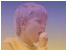 ADOBE PREMIERE ELEMENTS 10 - Galerie d'effets video - 35