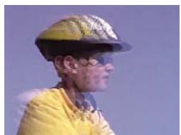 ADOBE PREMIERE ELEMENTS 10 - Echo - 2