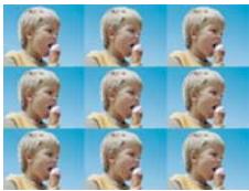 ADOBE PREMIERE ELEMENTS 10 - Galerie d'effets video - 37