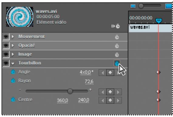 ADOBE PREMIERE ELEMENTS 10 - Ajout d'images clés dans la vue Propriétés - 1