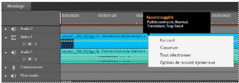 ADOBE PREMIERE ELEMENTS 10 - A propos du raccord dynamique - 1