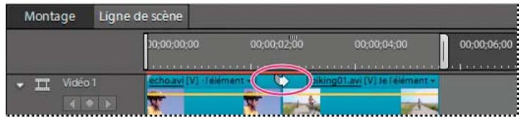 ADOBE PREMIERE ELEMENTS 10 - Afficher des transitions dans les vues Ligne de scene et Montage - 2