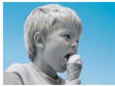 ADOBE PREMIERE ELEMENTS 10 - Galerie d'effets video - 11