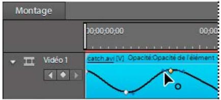 ADOBE PREMIERE ELEMENTS 10 - Contrôle du changement par interpolation - 1