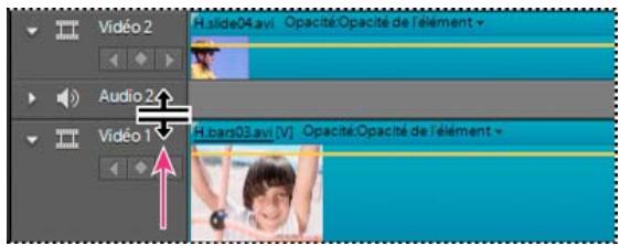 ADOBE PREMIERE ELEMENTS 10 - Redimensionnement de la hauteur d'une piste - 1