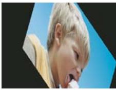 ADOBE PREMIERE ELEMENTS 10 - Galerie d'effets video - 46