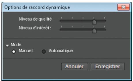 ADOBE PREMIERE ELEMENTS 10 - Options de raccord dynamique - 1