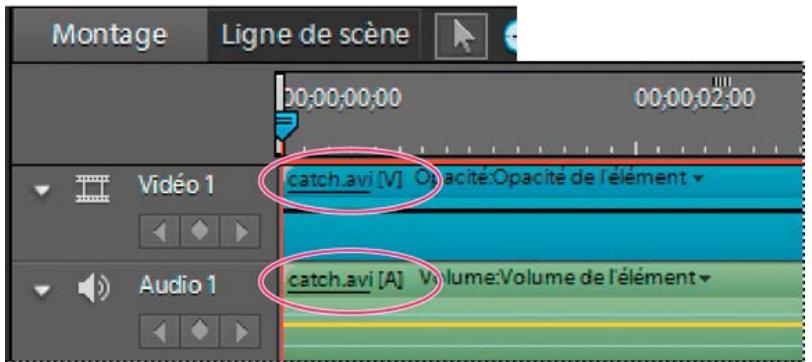 ADOBE PREMIERE ELEMENTS 10 - Liaison d'éléments video et audio - 1