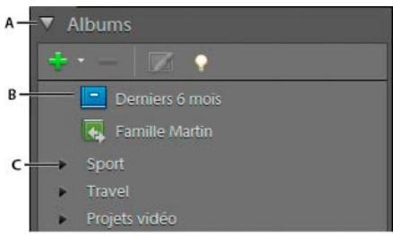 ADOBE PREMIERE ELEMENTS 10 - Creation et modification d'albums intelligents - 1