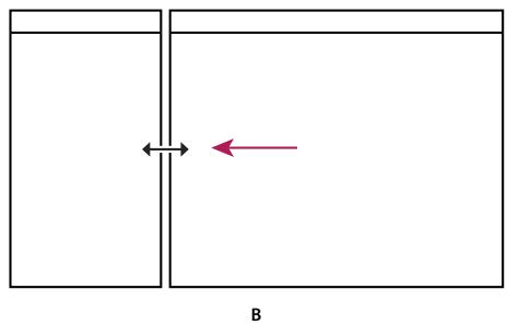 ADOBE PREMIERE ELEMENTS 10 - Redimensionnement d'un panneau - 2
