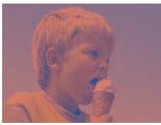 ADOBE PREMIERE ELEMENTS 10 - Galerie d'effets video - 45