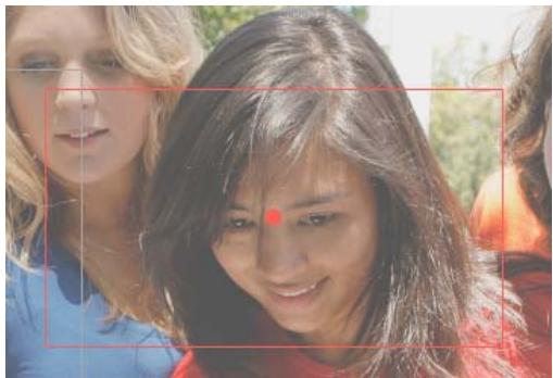 ADOBE PREMIERE ELEMENTS 10 - Ajout de cadres de mise au point à des images précédemment analysées - 1