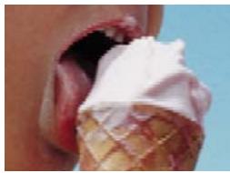 ADOBE PREMIERE ELEMENTS 10 - Lissage (Windows uniqueness) - 1