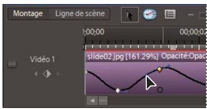ADOBE PREMIERE ELEMENTS 8 - Contrôle du changement par interpolation - 1