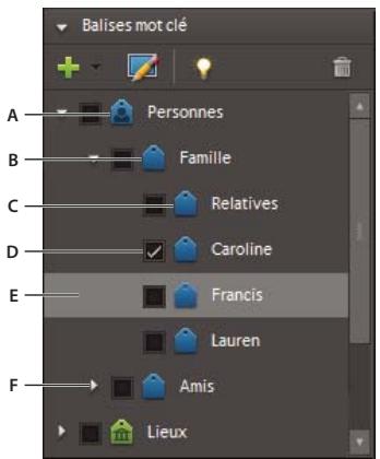 ADOBE PREMIERE ELEMENTS 8 - Balisage de fichiers média à l'aide de l'Organiseur Elements - 1