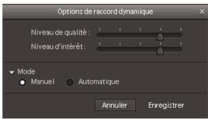 ADOBE PREMIERE ELEMENTS 8 - Options de raccord dynamique - 1